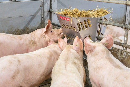 Lösungen für die Raufuttergabe und Initiative Tierwohl