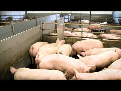 Porky's Pellettomat Kombi für Sauen